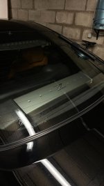 IMG_0778.jpeg